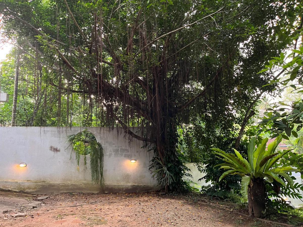 Villa Dinoos- Weligama Ngoại thất bức ảnh